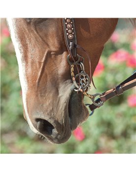 Diamond Long Shank TWISTED WIRE SNAFFLE Sherry Cervi