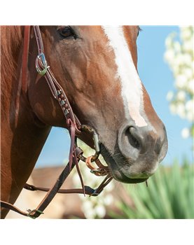Diamond Dee Ring SMOOTH SNAFFLE SHERRY CERVI