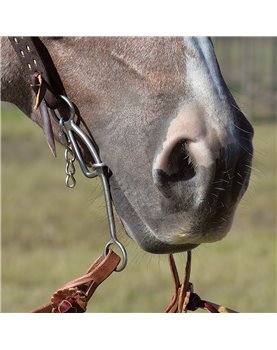 LES VOGT DOGBONE Classic Equine