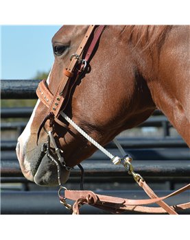 JOE BEAVER COLLECTION 7-1/2" SHANK HIGH PORT Classic Equine