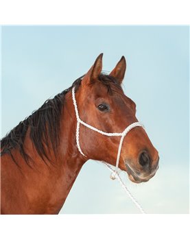 Licol Rope Nose et longe 2,40m Classic Equine Black 