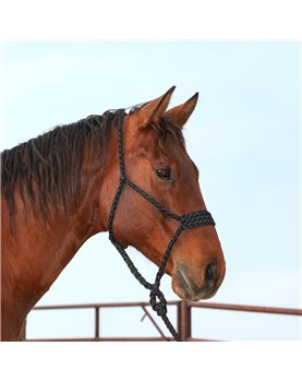 Licol Wide Nose Flat et longe 2,40m Classic Equine Black 