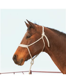 BRAIDED ROPE HALTER WITH LEAD Classic Equine