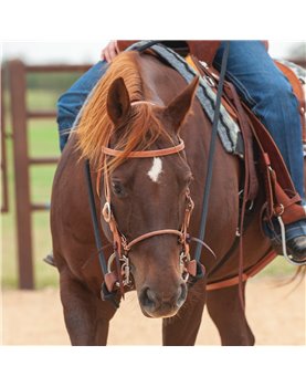 LEATHER CAVESSON adjustable Martin Saddlery