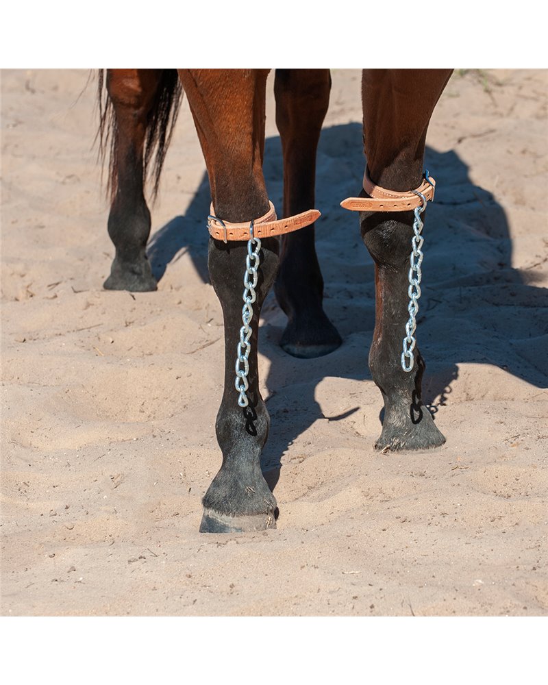 Anti coup de pied antérieur en cuir avec chaîne Martin Saddlery Anti coup de pied antérieur en cuir avec chaîne Martin Saddlery