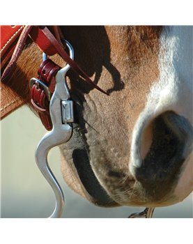 Performance Series: 8" Cavalry Cheek correctionnal Classic Equine
