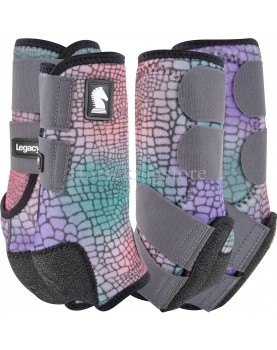 Legacy2 Support Boots Front and Hind Classic...