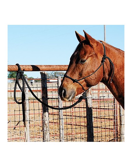 ROPE WORK HALTER Classic Equine