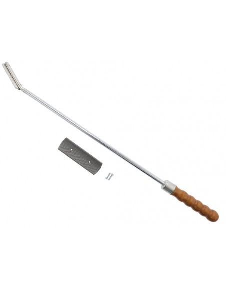 Tooth rasp with curved blade