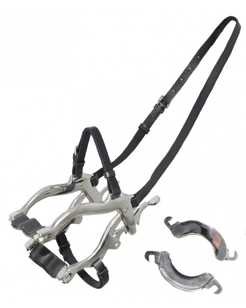 Speculum with webbing