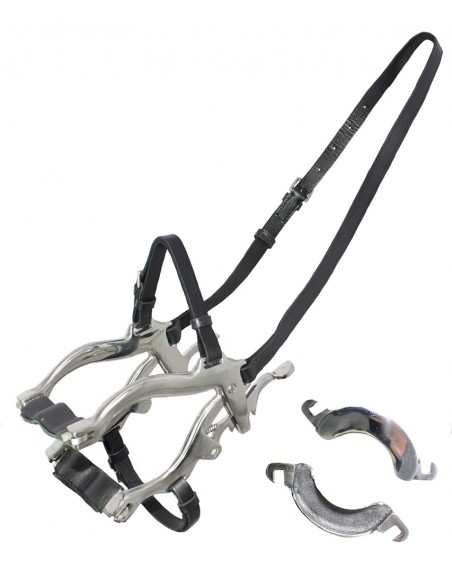 Speculum with webbing