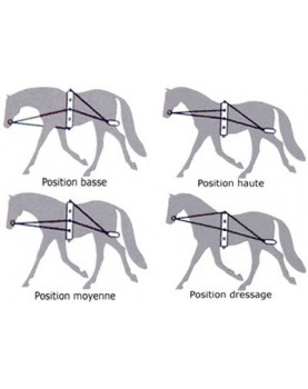 "Pessoa" system training