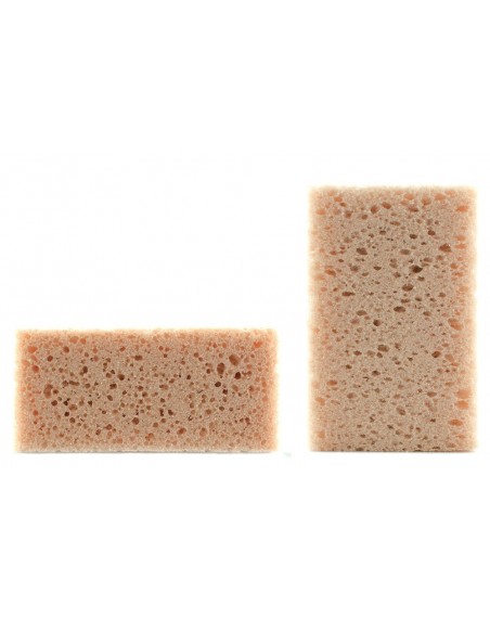 Rectugular sponge size large
