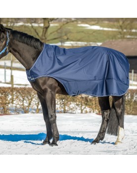 Bucas Walker Rug