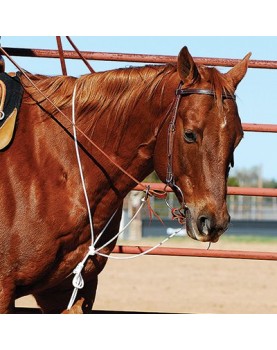 STRING MARTINGALE MARTIN SADDLERY