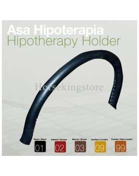 Holder for equitherapy