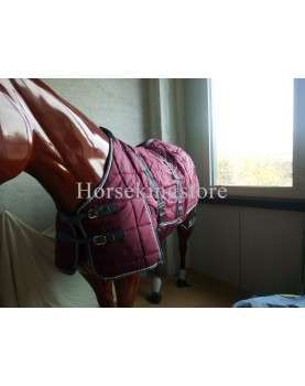 Box Turnout Galop Burgundy size 155 cm