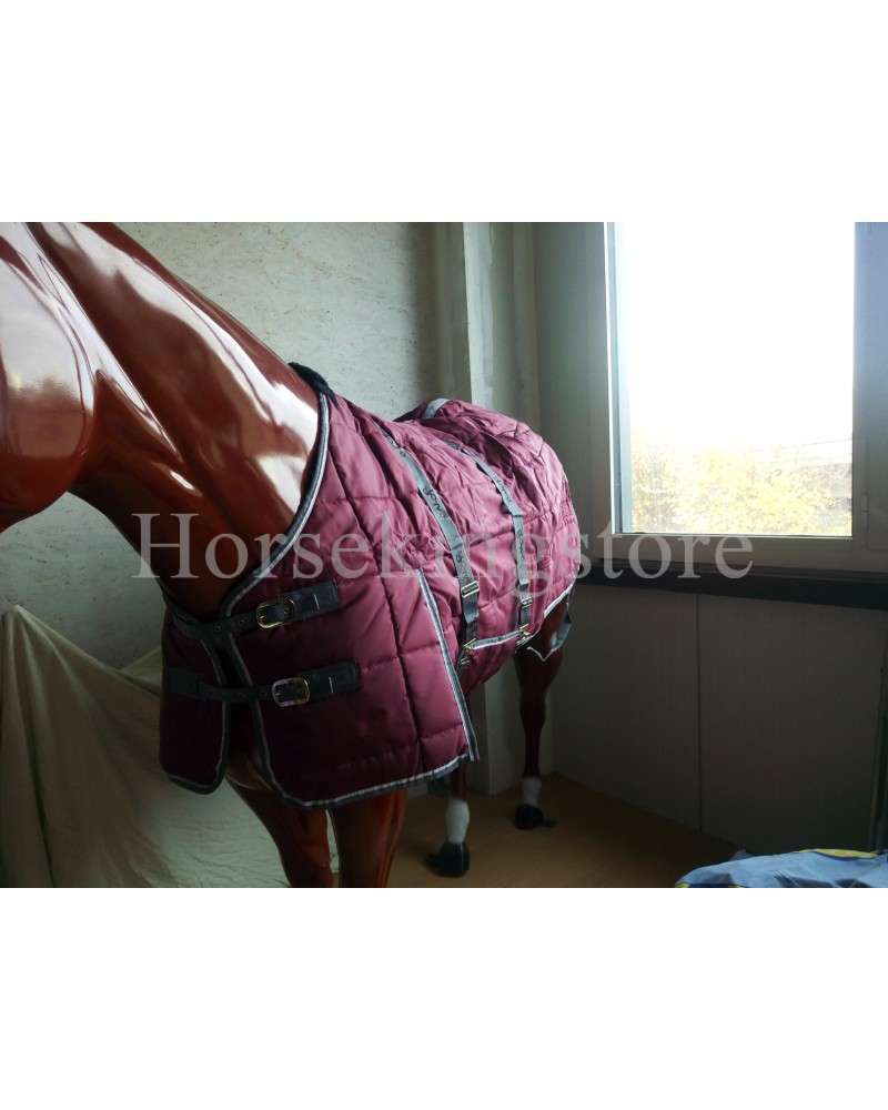 Box Turnout Galop Burgundy size 155 cm Box Turnout Galop Burgundy size 155 cm