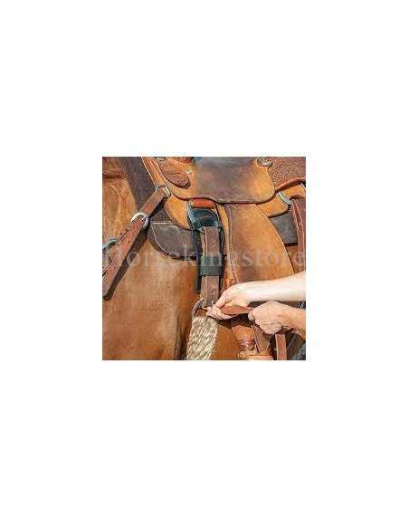 Cinch and Latigo Protector