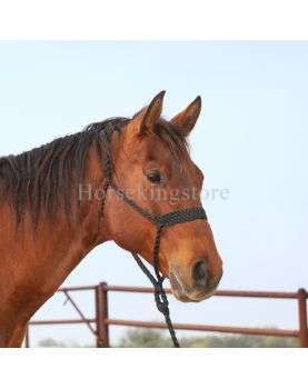 BRAIDED ROPE HALTER WITH LEAD Classic Equine