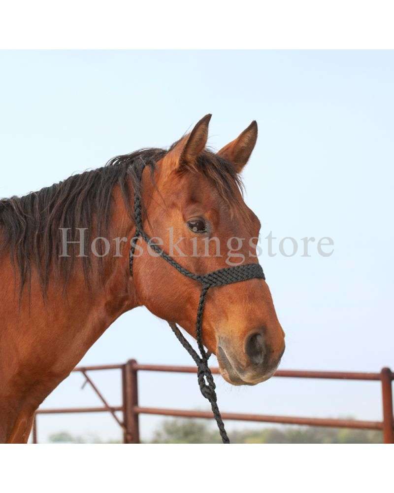 BRAIDED ROPE HALTER WITH LEAD Classic Equine