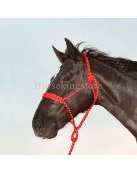 BRAIDED ROPE HALTER WITH LEAD Classic Equine