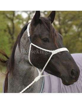 Licol en nylon pour Mule Classic Equine