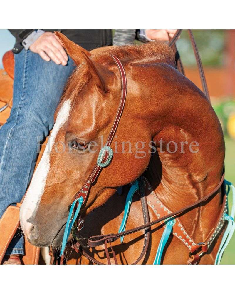 TURQUOISE ACCENTED Antiqued Dots HEADSTALL Martin Saddlery TURQUOISE ACCENTED Antiqued Dots HEADSTALL Martin Saddlery