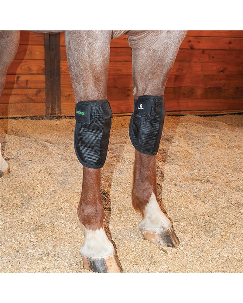Genouillères MagNTX Classic Equine 