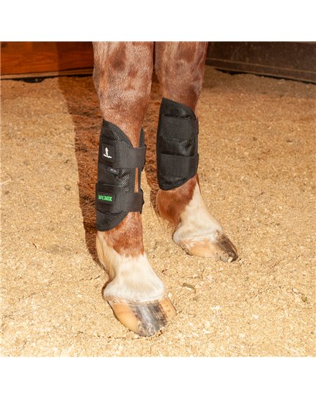 Guêtres MagNTX Classic Equine 