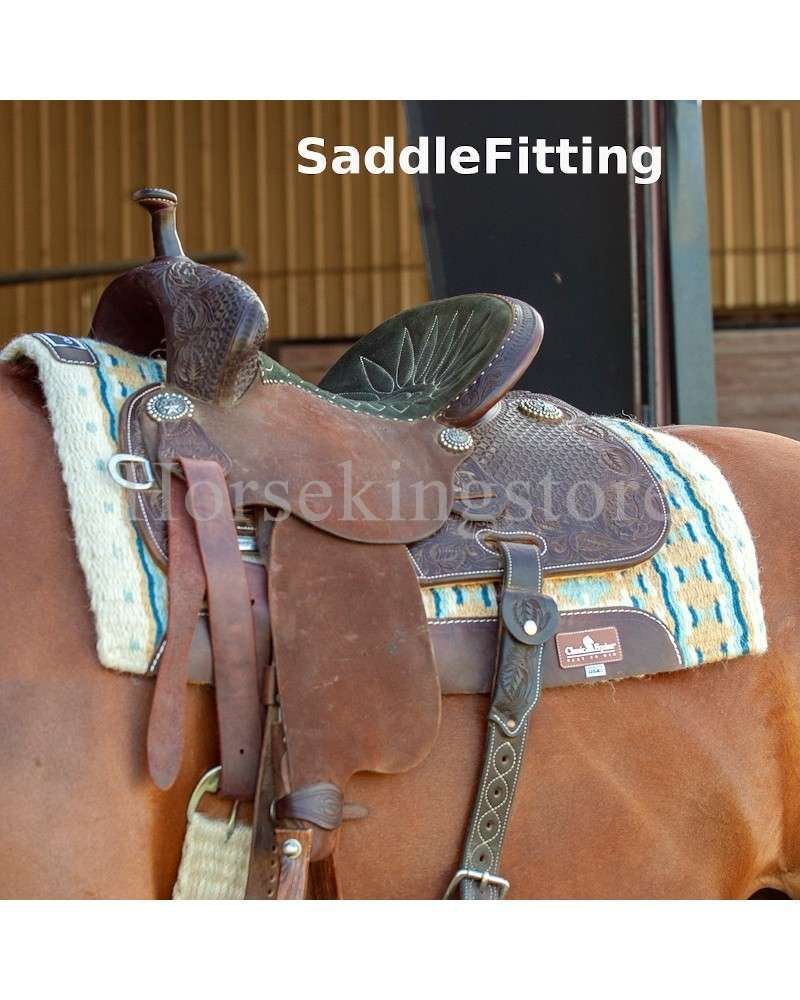 Selle mal adaptée : signes, causes et solutions pour votre cheval