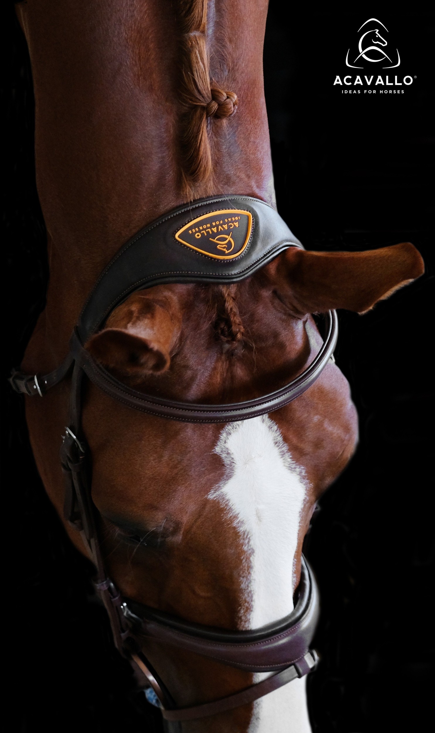 Comment bien ajuster une bride western pour votre cheval